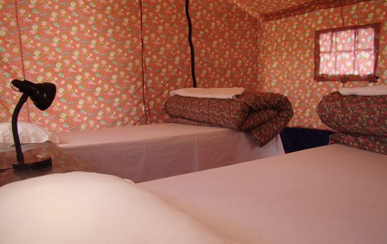 Double Humped Camp - Hunder, Nubra valley 3